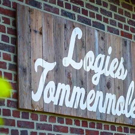 Logies Tommenmolen Grimbergen Exterior foto