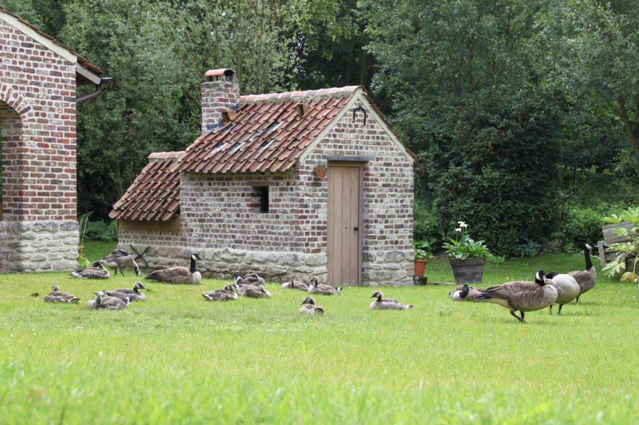 Logies Tommenmolen Grimbergen Exterior foto